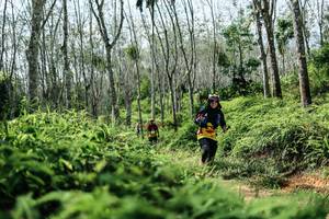 BIB: 
                            <button type="button" onclick="openModal(26355405)" class="btn btn-primary btn-sm float-right btn-popup" data-toggle="modal" data-target=".modal-high-quality">
                        <i class="fas fa-shopping-cart"></i> Add to Cart
                    </button>
                                            <button type="button" onclick="isThisMe(26355405, true)" class="btn btn-success btn-sm float-right btn-popup btn-isme hidden" data-toggle="tooltip" data-placement="bottom" title="นี่คือรูปของคุณใช่ไหม คลิกที่นี่เพื่อเอาเข้าอัลบั้ม">
                        <i class="fas fa-plus"></i> Add to album
                    </button>
                    <button type="button" onclick="isThisMe(26355405, false)" class="btn btn-warning btn-sm float-right btn-popup btn-isnotme hidden">
                        <i class="fas fa-ban"></i> Remove from album
                    </button>